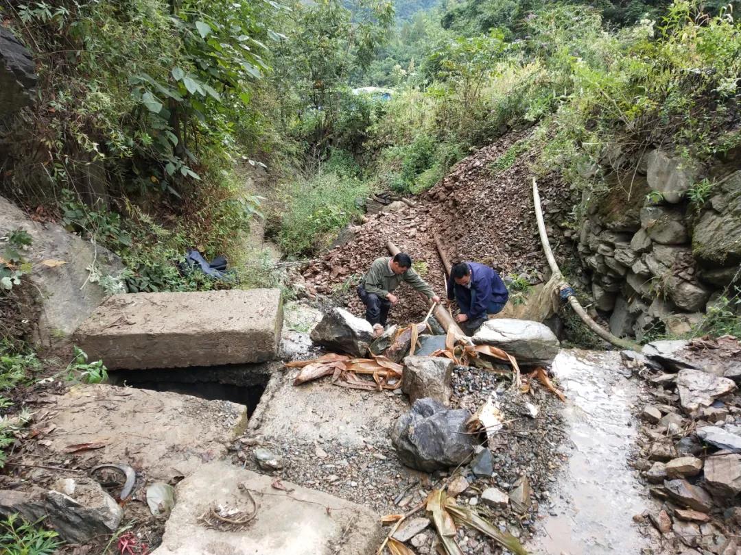 做本職、助和諧、促提升