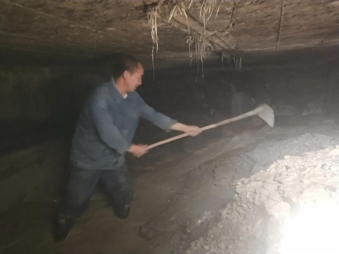 做本職、助和諧、促提升