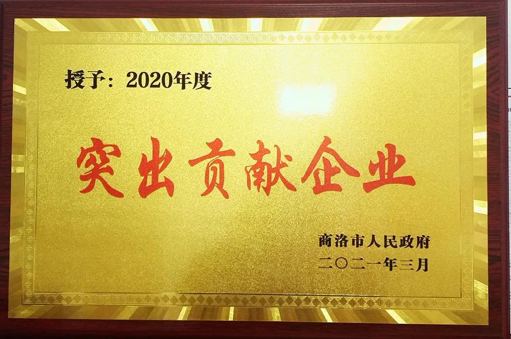 大西溝礦業(yè)公司獲商洛市“2020年度突出貢獻(xiàn)企業(yè)獎”殊榮 大西溝礦業(yè)公司獲商洛市“2020年度突出貢獻(xiàn)企業(yè)獎”殊榮
